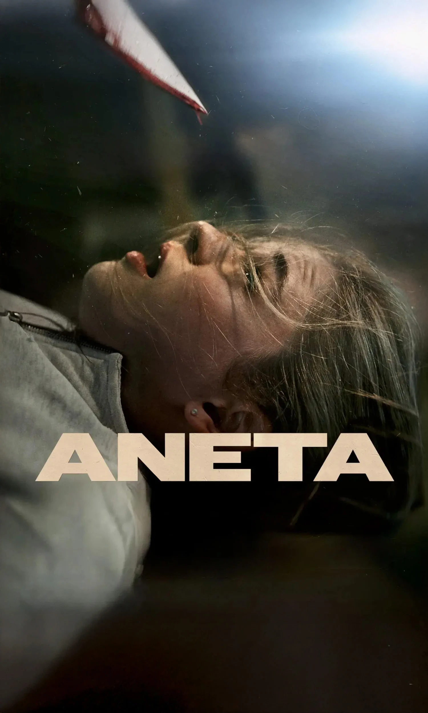 Aneta – galerie 1