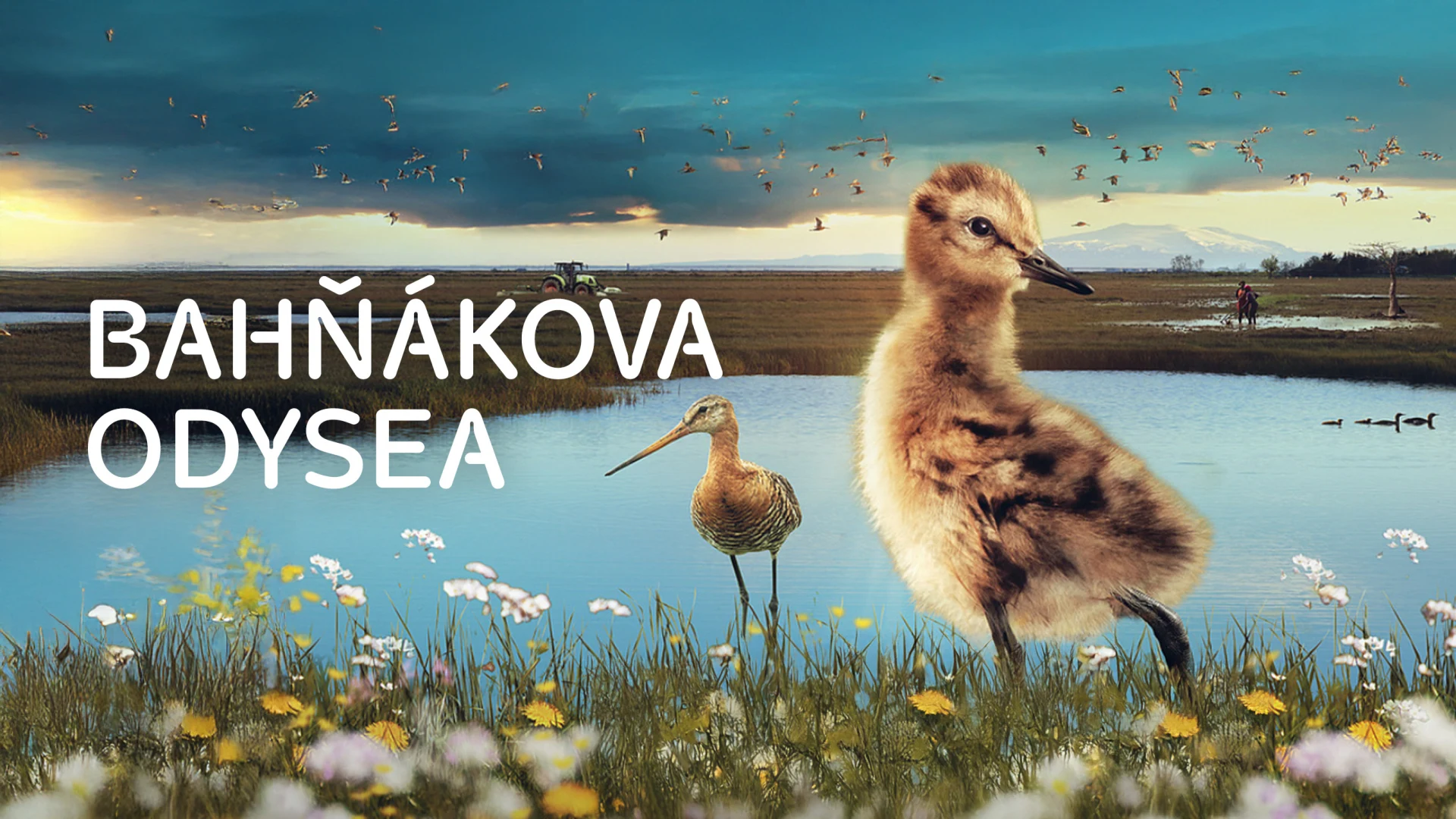 Bahňákova odysea