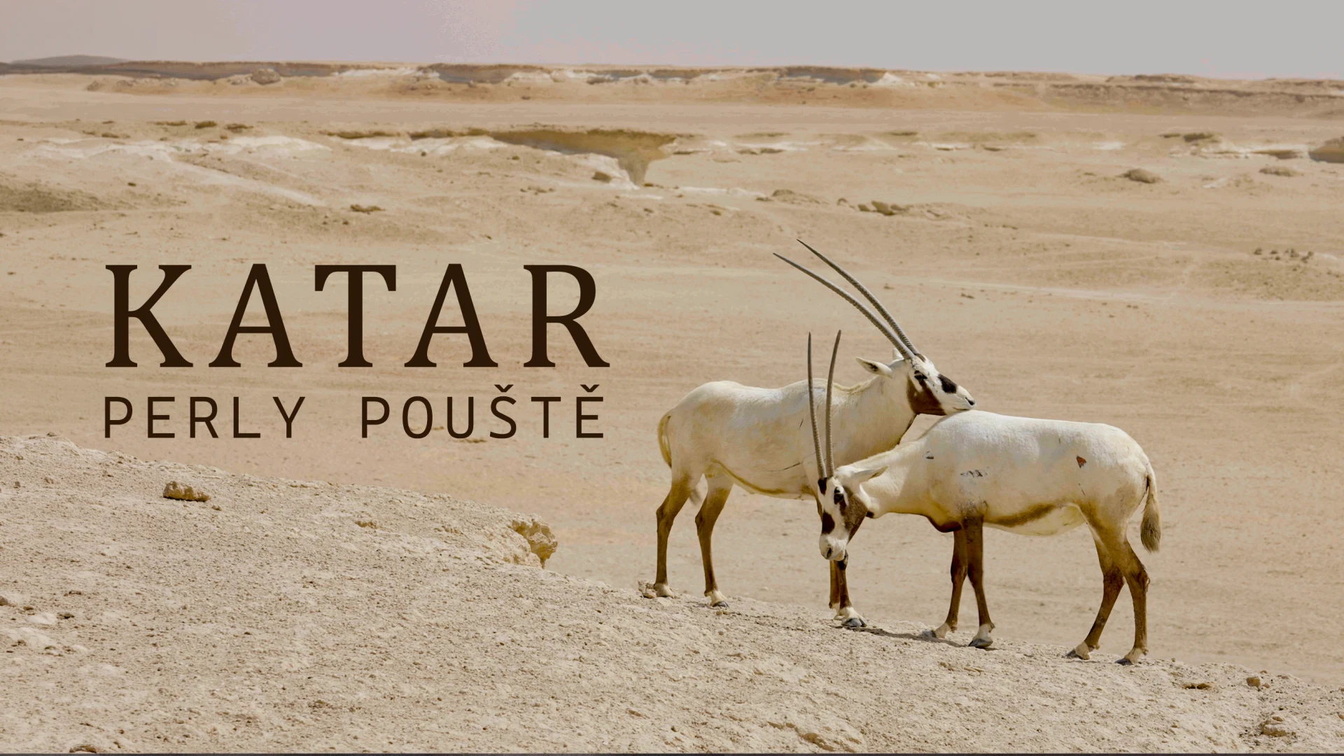 Katar: Perly pouště